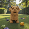 Chibi Rottweiler Wood - Front