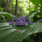 Ant Silk Midnight Purple - Front