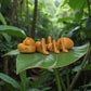 Ant Silk Tropical Sunset - Side