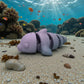 Baby Dolphin Silk Rainbow - Side