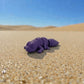 Baby Leopard Gecko Silk Midnight Purple - Side