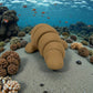 Baby Manatee Wood - Back