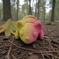 Baby Mouse Silk Pink Yellow - Front