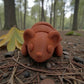 Baby Mouse Silk Red Copper - Front