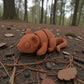Baby Mouse Silk Red Copper - Side