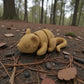 Baby Mouse Wood - Side