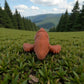 Baby Pterodactyl Silk Red Copper - Front