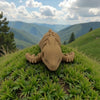 Baby Pterodactyl Skeleton Wood - Front