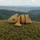 Baby Pterodactyl Skeleton Wood - Side