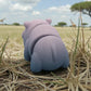 Baby Rhino Silk Rainbow - Back