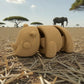 Baby Rhino Wood - Side