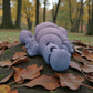 Baby Scorpion Silk Rainbow - Back