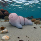 Baby Seal Silk Rainbow - Side