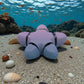 Baby Starfish Silk Rainbow - Back