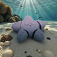 Baby Starfish Silk Rainbow - Front