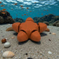 Baby Starfish Silk Red Copper - Back