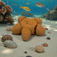 Baby Starfish Silk Tropical Sunset - Side