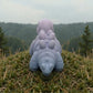 Baby Stegosaurus Skeleton Silk Rainbow - Back