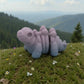 Baby Stegosaurus Skeleton Silk Rainbow - Side