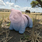 Baby Tiger Silk Rainbow - Side