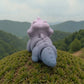 Baby Triceratops Skeleton Silk Rainbow - Back