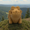Baby Triceratops Skeleton Wood - Front