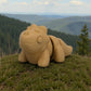 Baby Triceratops Wood - Side