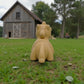 Baby Unicorn Wood - Back