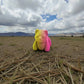 Baby Wolf Silk Pink Yellow - Front