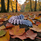 Centipede Silk Rainbow - Back