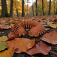 Centipede Silk Red Copper - Front