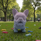 Chibi Frenchie Silk Rainbow - Front