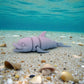 Cute Dolphin Silk Rainbow - Side