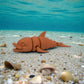 Cute Dolphin Silk Red Copper - Side