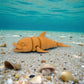 Cute Dolphin Silk Tropical Sunset - Side