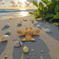 Cute Lobster Wood - Back