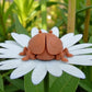 Ladybug Silk Red Copper - Back