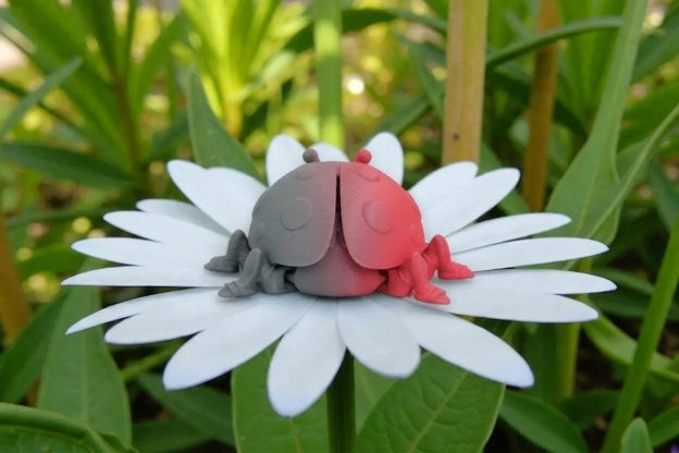 Ladybug Silk Smokey Wine - Back