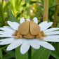 Ladybug Wood - Back