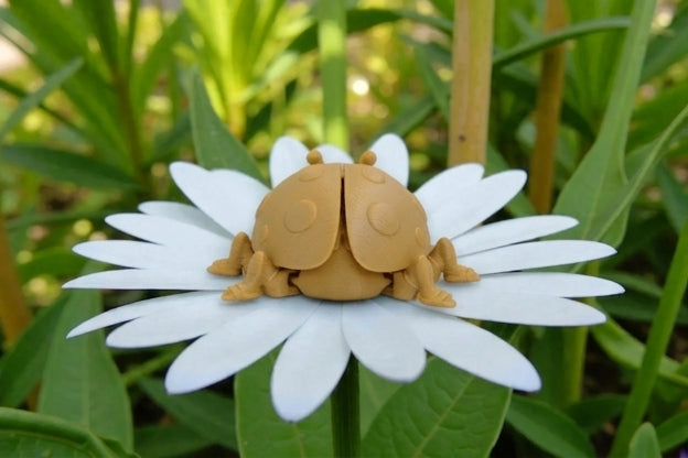 Ladybug Wood - Back