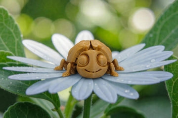 Ladybug Wood - Front