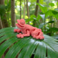Mini Frog Silk Teal Orange Red - Side
