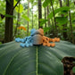 Mini Frog Silk Tropical Sunset - Front