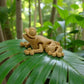 Mini Frog Wood - Side