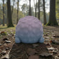 Mini Hedgehog Silk Rainbow - Back
