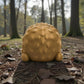 Mini Hedgehog Wood - Back