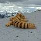 Mini Skeleton Dragon Wood - Back