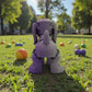 Sausage Dog Silk Midnight Purple - Back