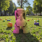 Sausage Dog Silk Pink Yellow - Back