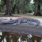 Skeleton Crocodile Silk Rainbow - Side